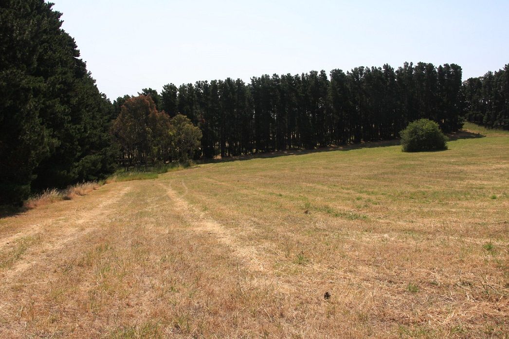 Lot 64 Gould Road, Mount Barker Springs SA 5251, Image 1