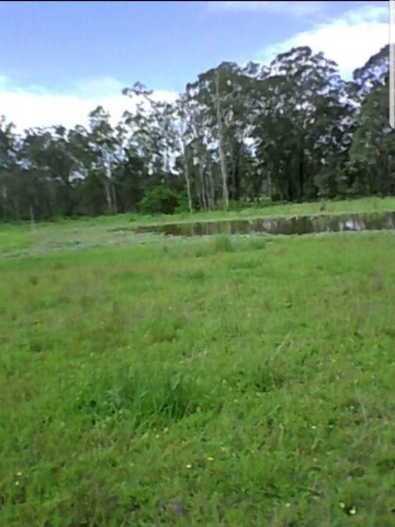 172 Busbys Flat Road, Leeville NSW 2470, Image 1
