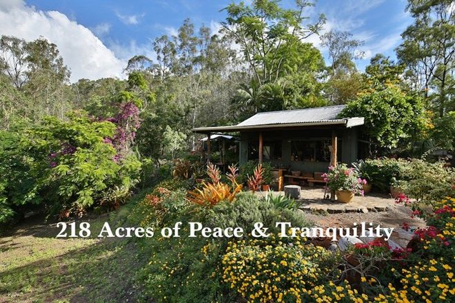 Picture of 190 Tessellaris Trail, TAKILBERAN QLD 4671