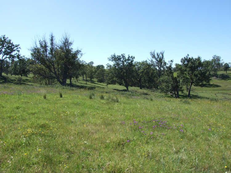 Lot 403 Batemans Road, Morans Crossing NSW 2550, Image 2