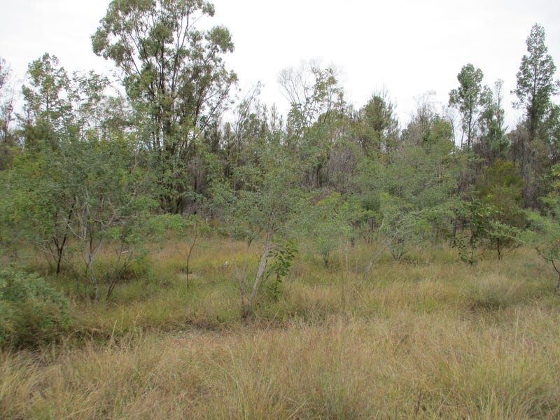 Lot 4 South Road, Tara QLD 4421, Image 1