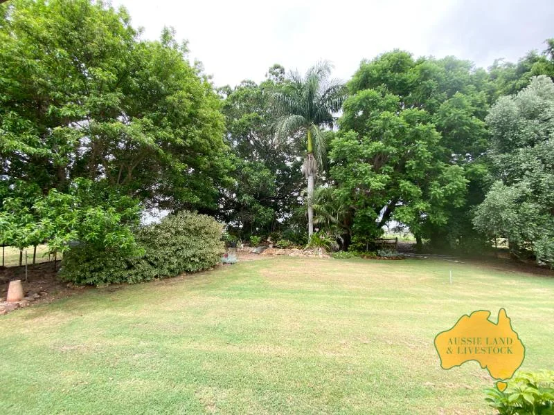 Image 15