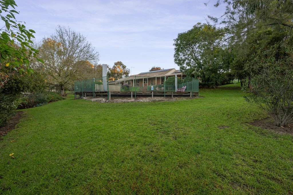 Image 23