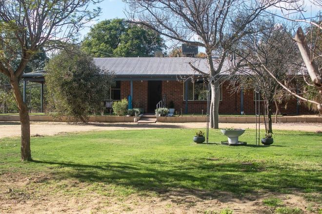 Picture of 167 BISHOP Street, MOORA WA 6510