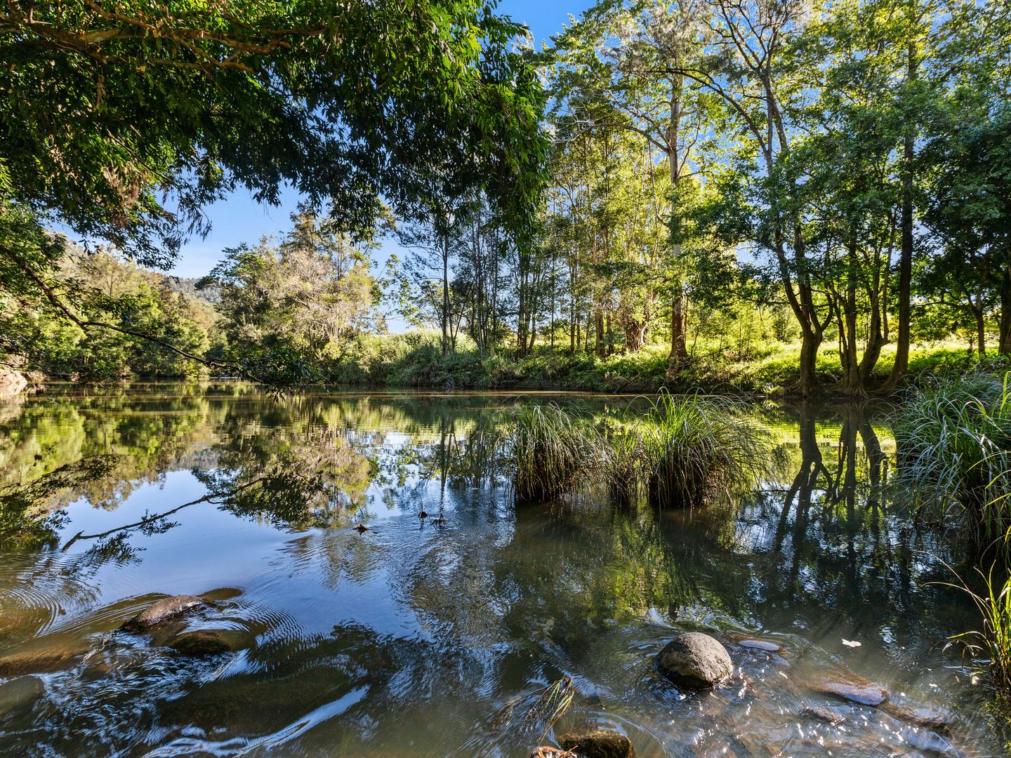 1897 KYOGLE ROAD, Terragon NSW 2484, Image 2