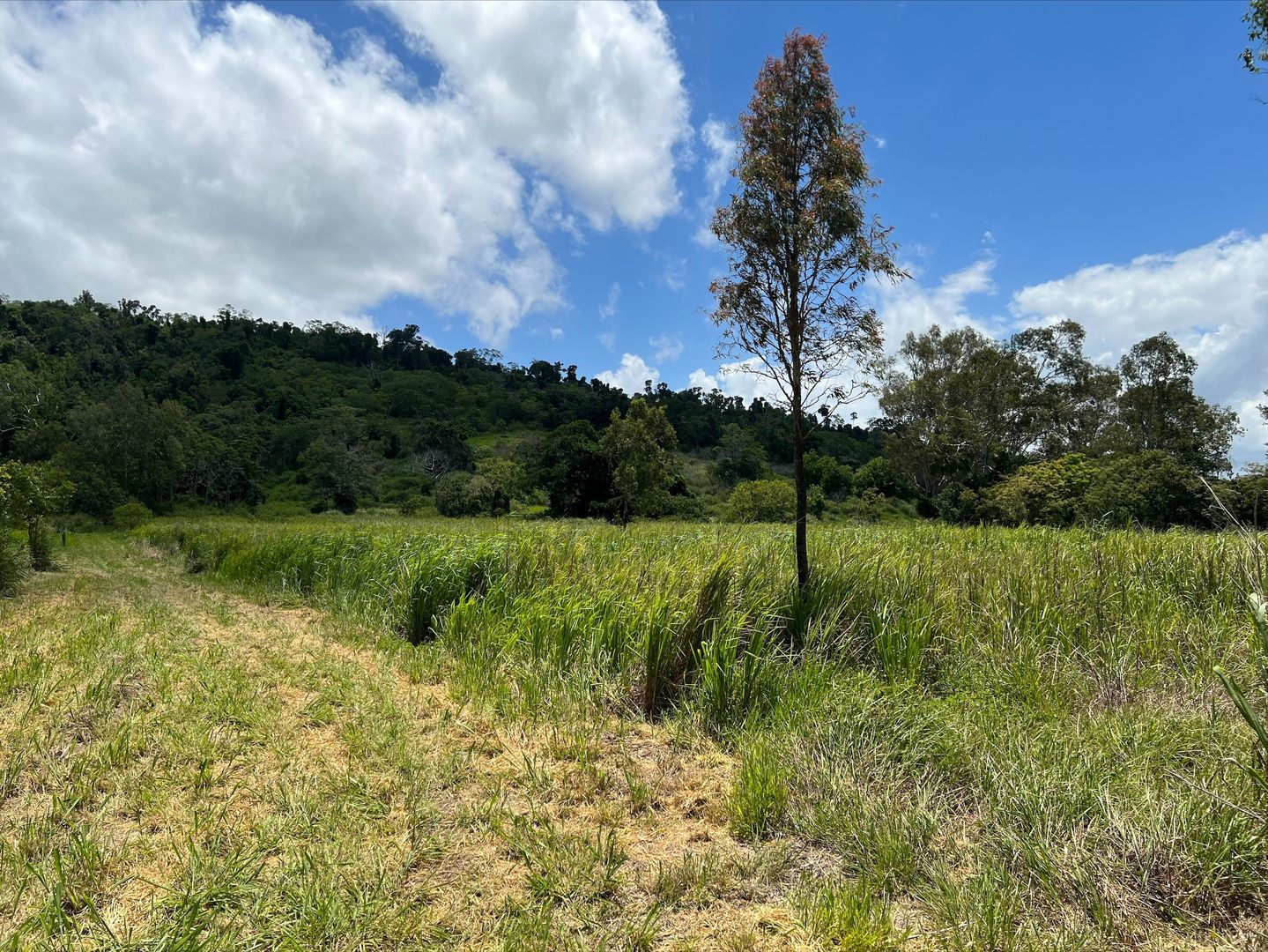 Lot 6 Cape Hillsborough Road, Ball Bay QLD 4741, Image 1