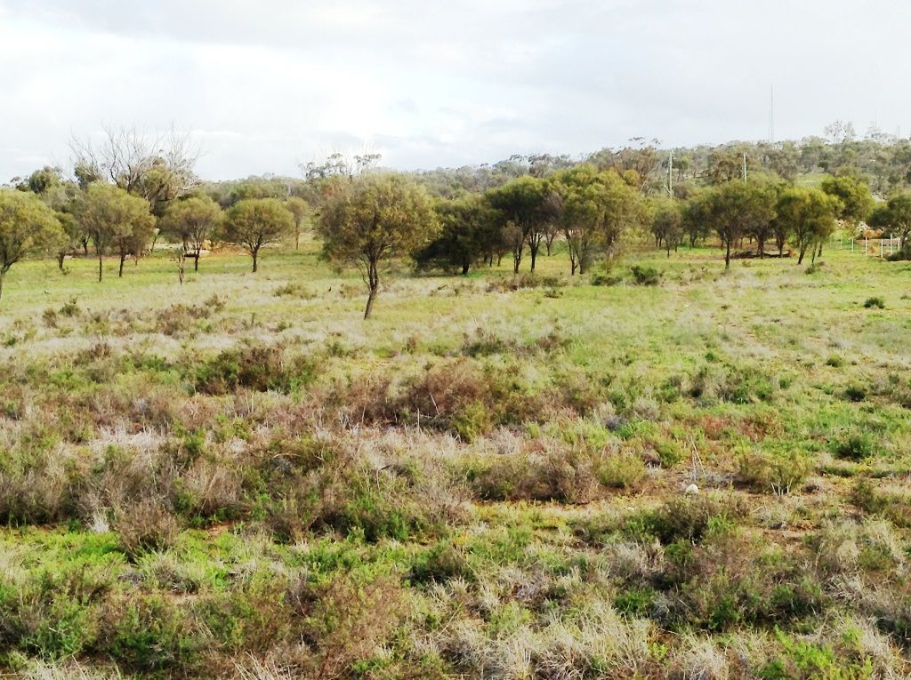 Cunderdin WA 6407, Image 0