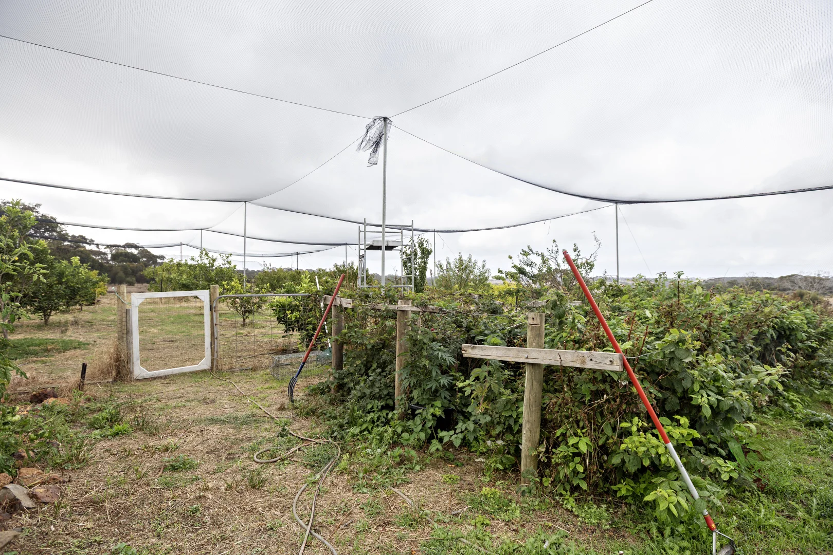 Additional image 19 of 1283 Western River Road, Western River SA 5223