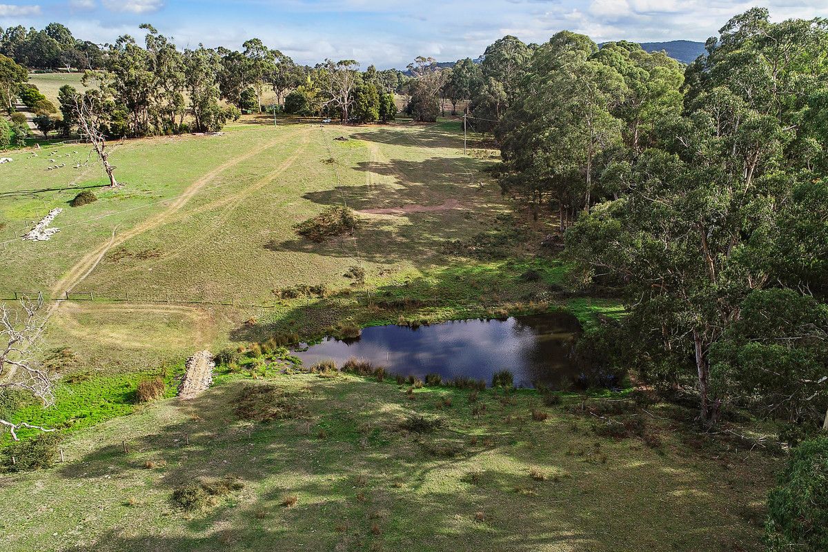 1 Riches Access Road, Kawarren VIC 3249, Image 2