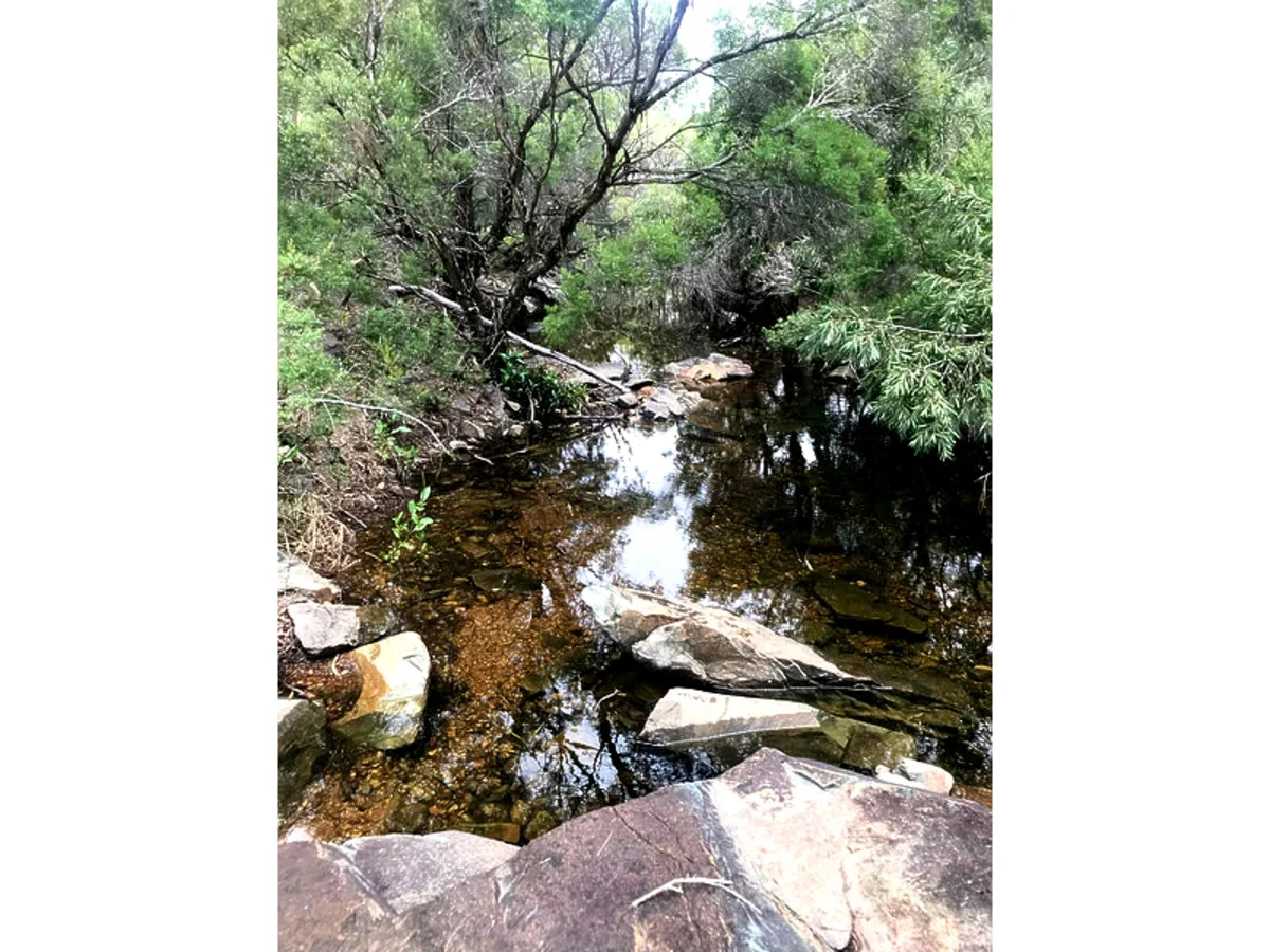 Additional image 4 of 1290 Nine Mile Road, Nine Mile Creek QLD 4714