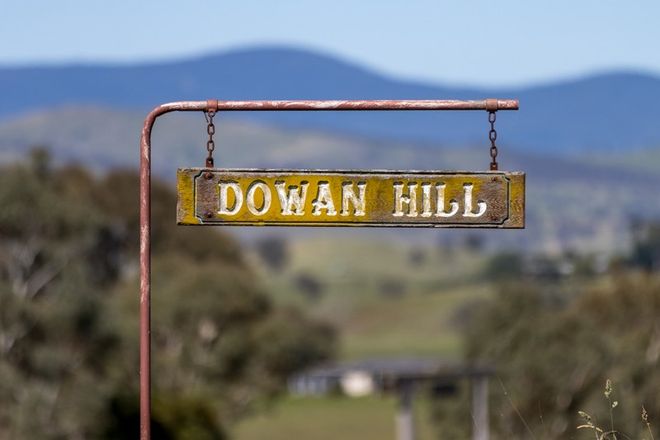 Picture of 'Dowan Hill' 198 Connells Lane, YASS NSW 2582