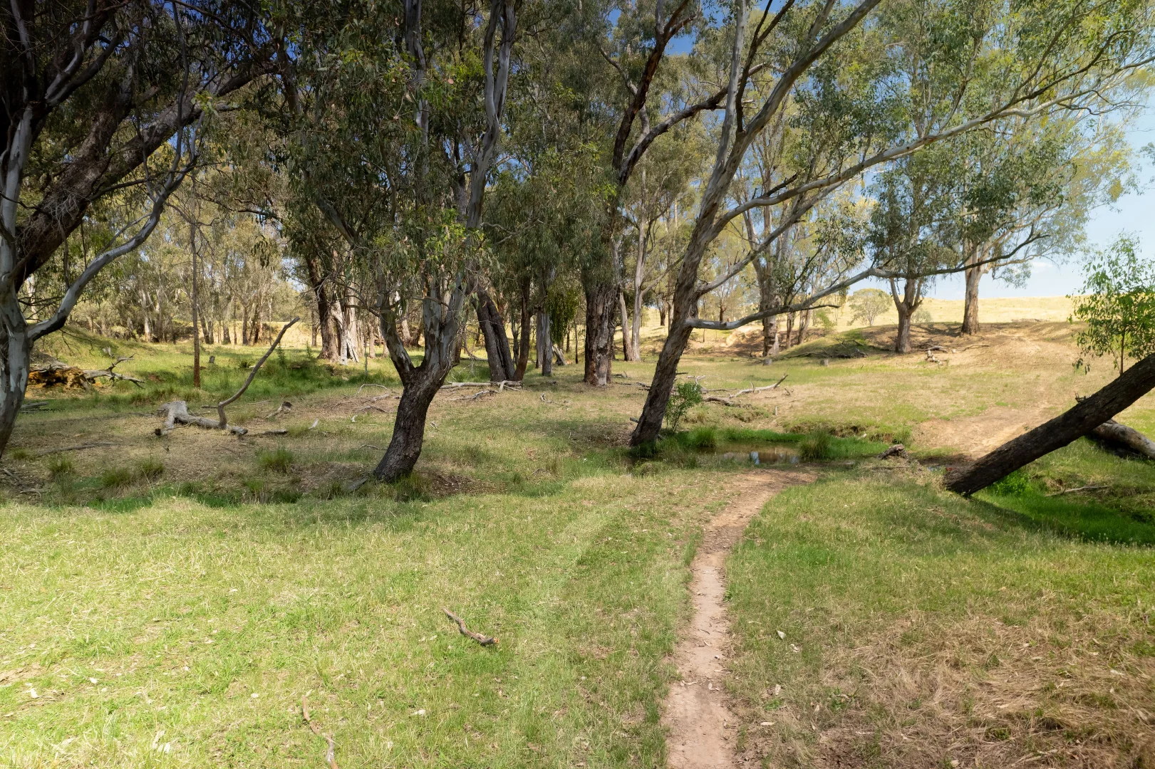 Image 11