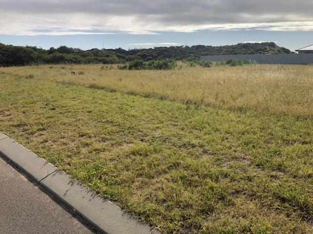 Image 15