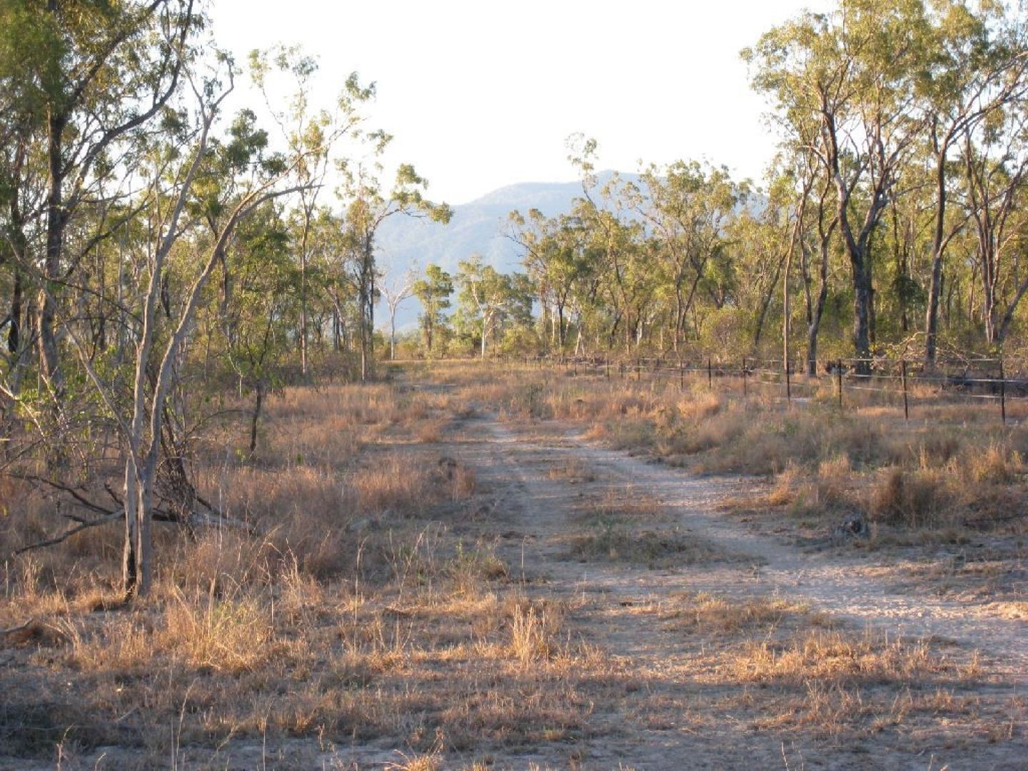 Reid River QLD 4816 House for Sale 270,000 Domain