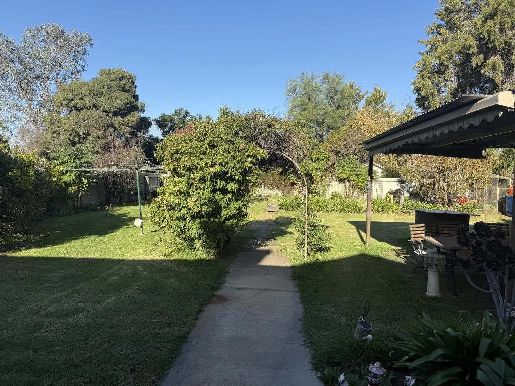 Image 12