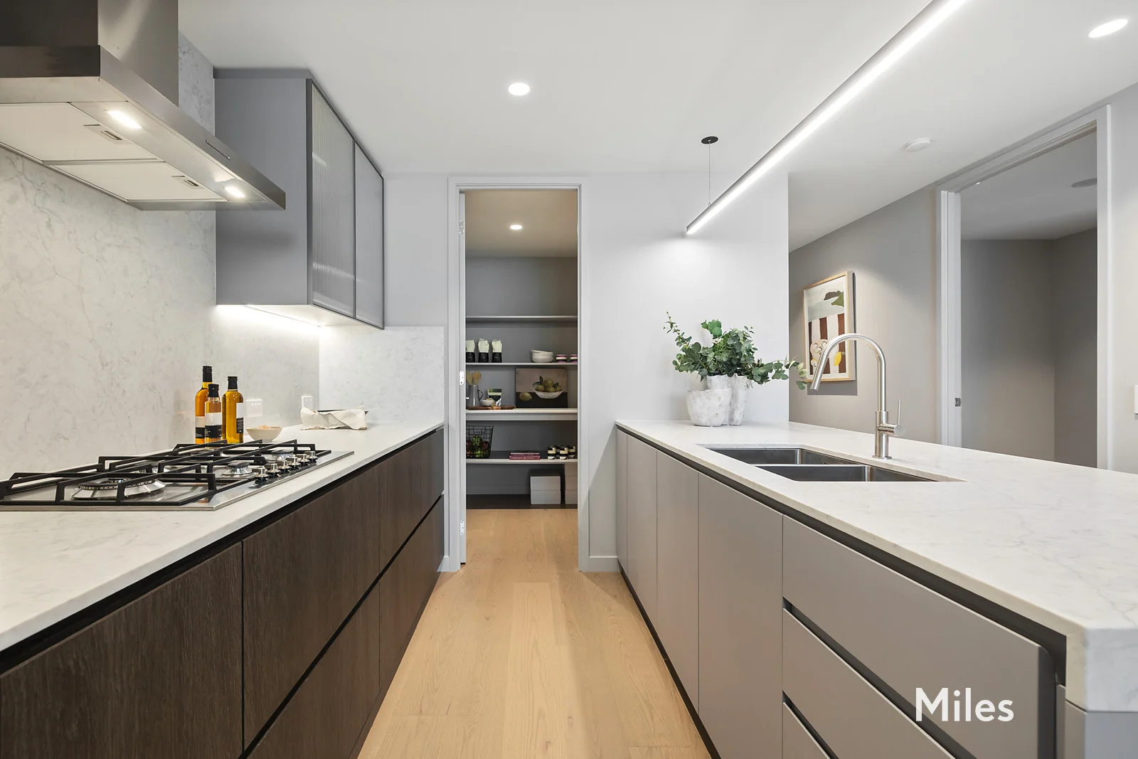 Primary image of 105/1 Abbotsford Grove, Ivanhoe VIC 3079