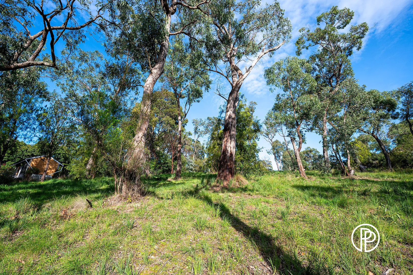 Image 6
