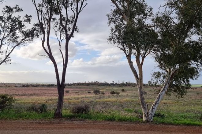 Picture of 36 Birdwood Street, MULLEWA WA 6630