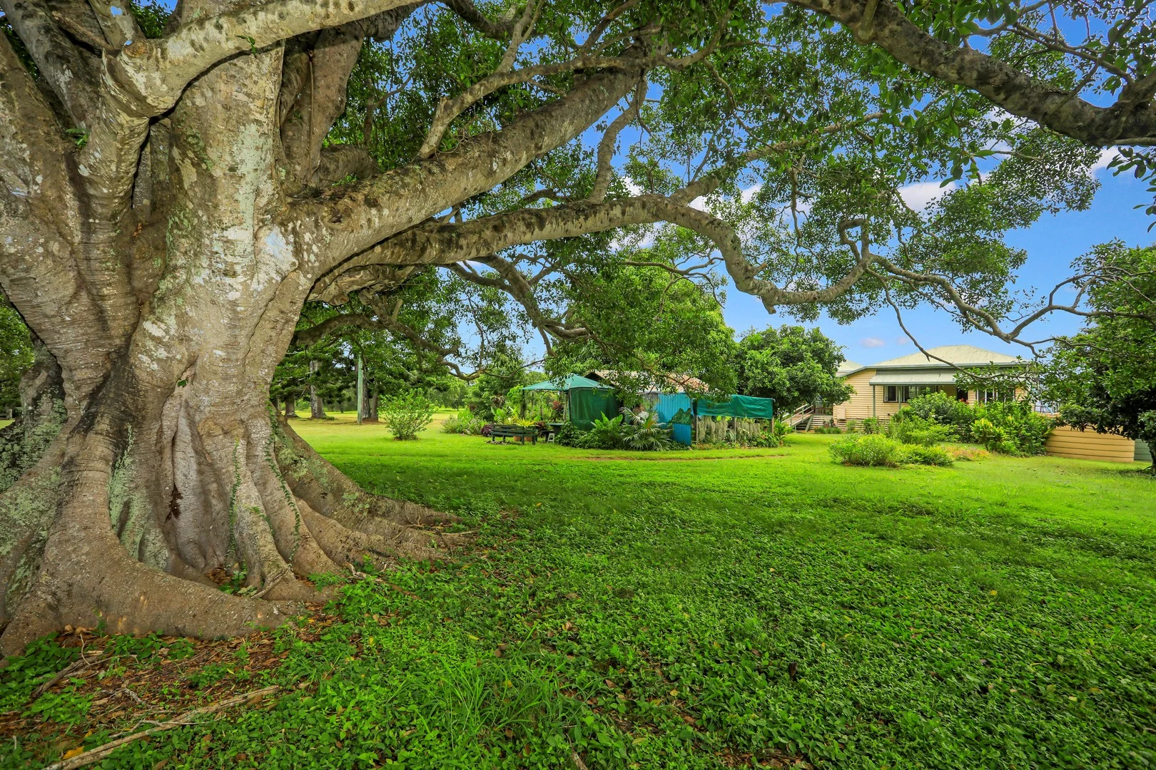 50 Csr Depot Road, Childers QLD 4660