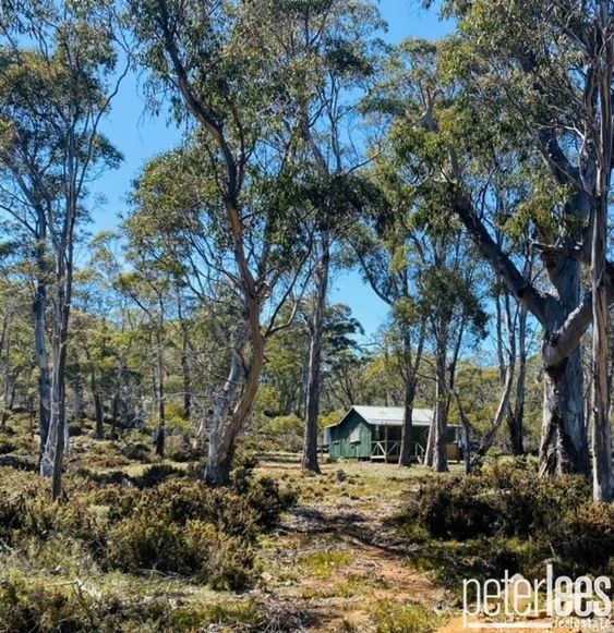 The Shack Arthurs Lake Road, Arthurs Lake TAS 7030 Domain