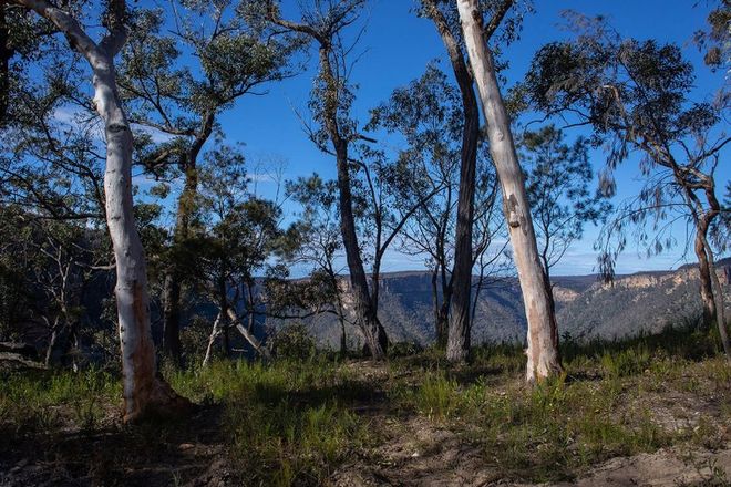 Picture of 1068 Caoura Road, TALLONG NSW 2579