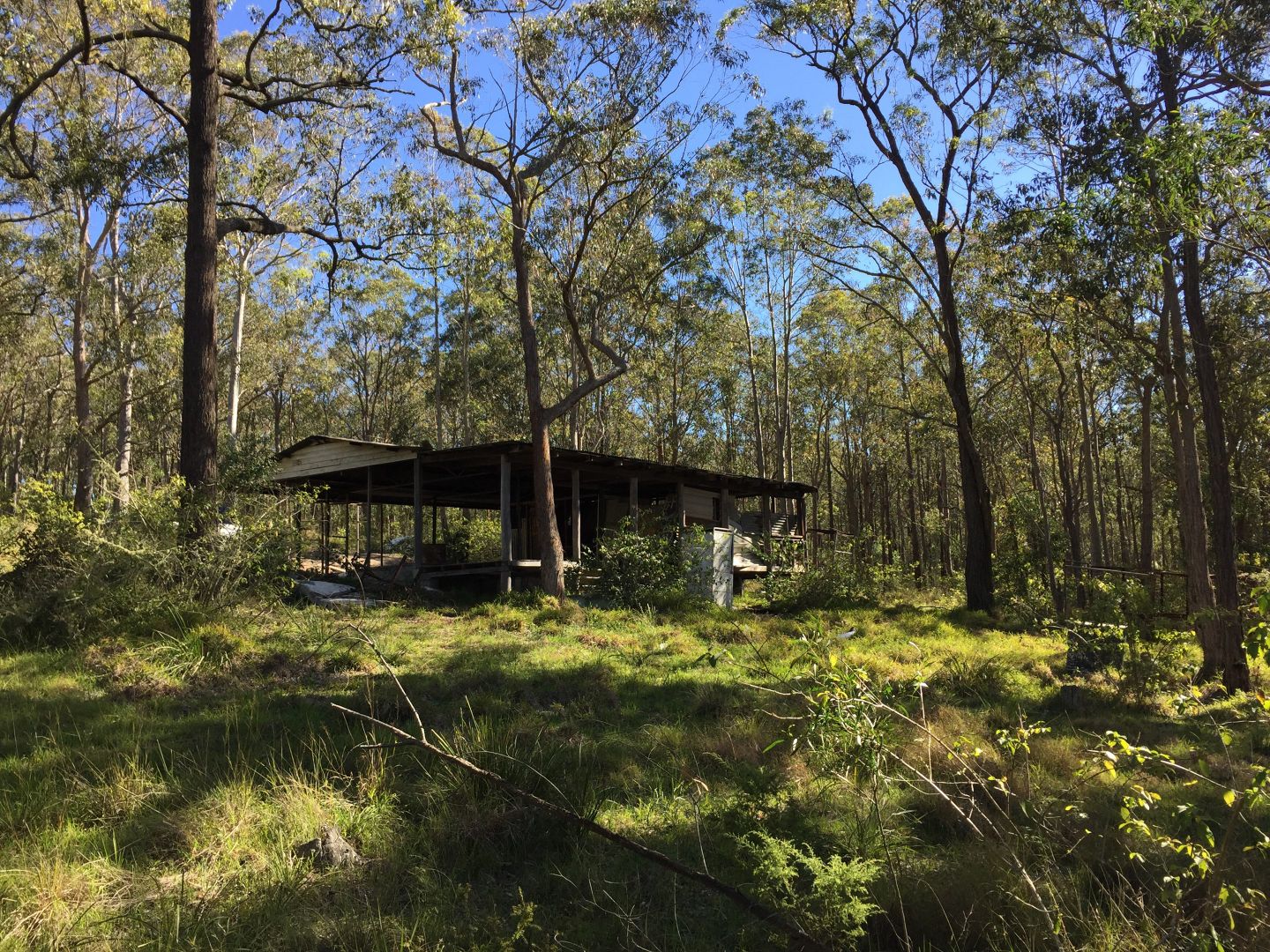 93 Glen William Road Lot 256 DP752497, Clarence Town NSW 2321, Image 2