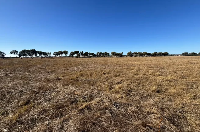 Additional image 6 of 291 Edward Road, Geraldton WA 6530