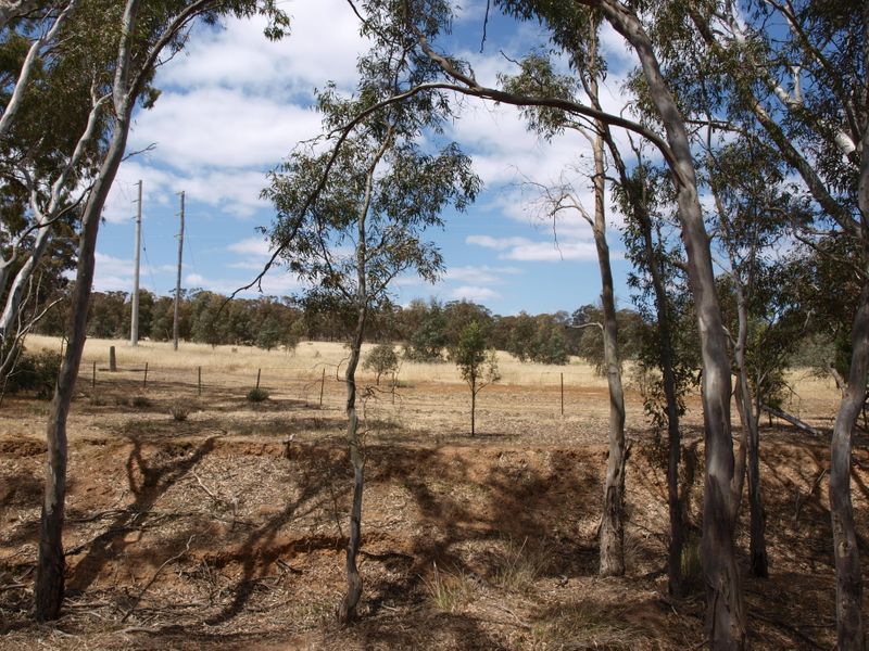 CA 42 & CA 42 B Sommerville Road, Wedderburn VIC 3518, Image 2