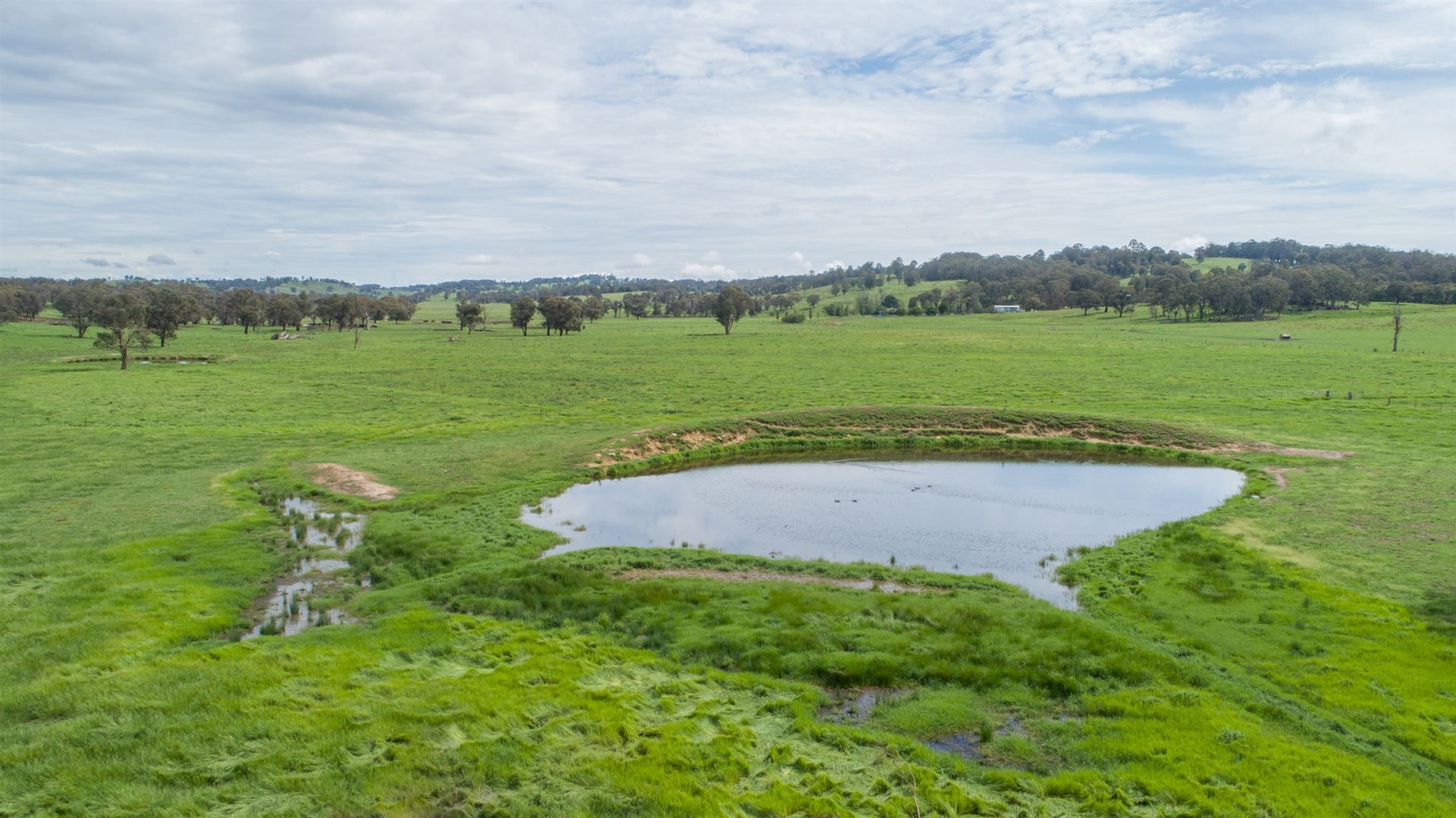 Walcha NSW 2354, Image 1