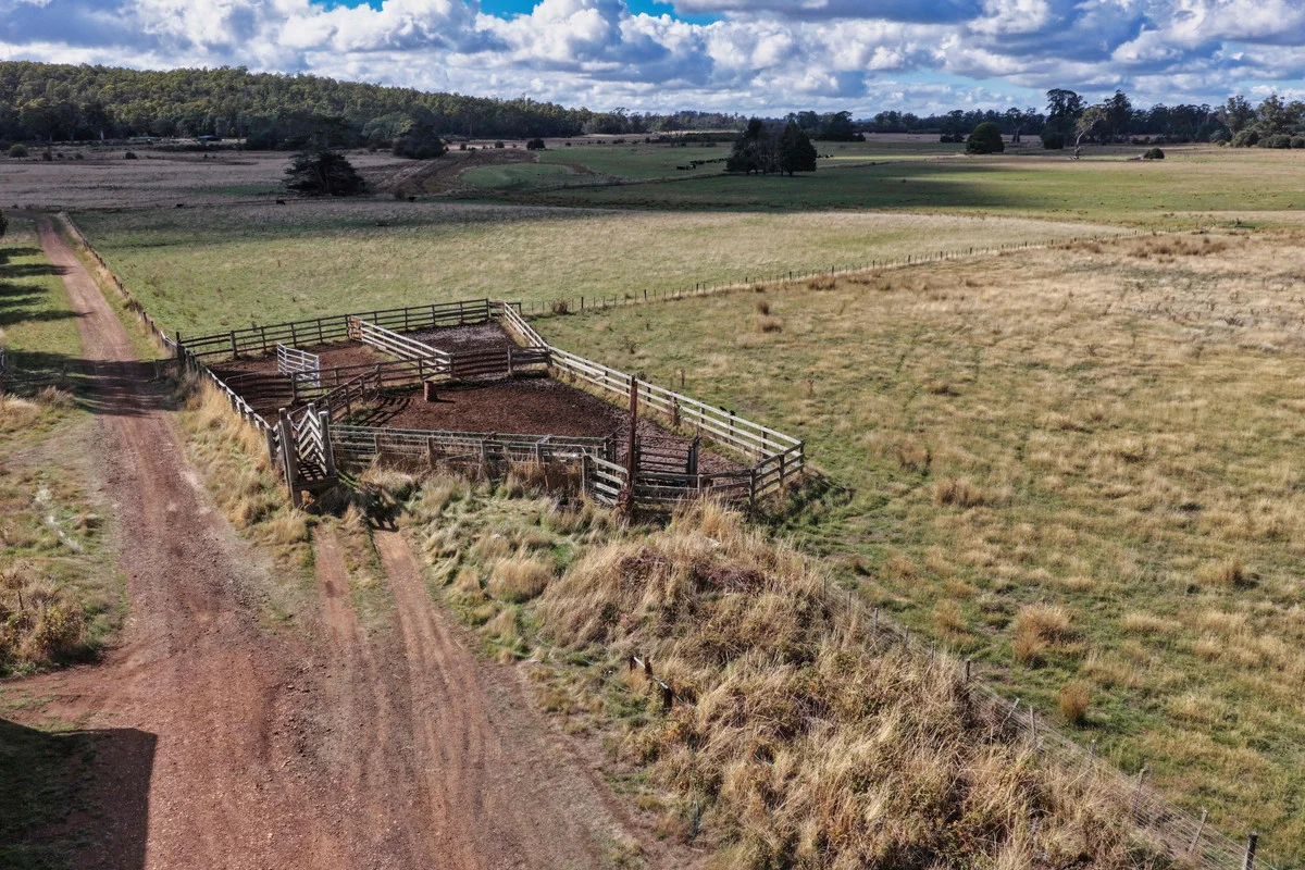 Additional image 7 of Sorrento Park, 304 Porters Bridge, Exton TAS 7303