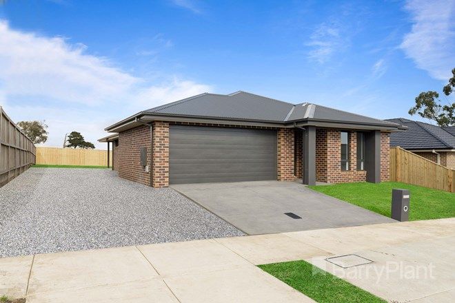 82 Real Estate Properties For Sale In Winter Valley Vic 3358
