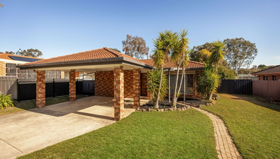 Picture of 16 Thrush Court, WODONGA VIC 3690