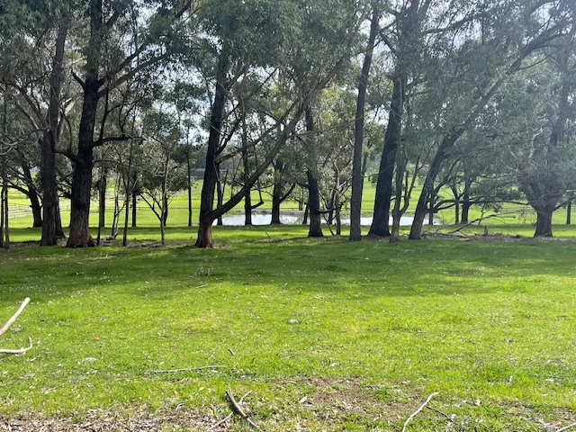 168 Scarp Road, Keysbrook WA 6126 - Farm for Sale | Domain