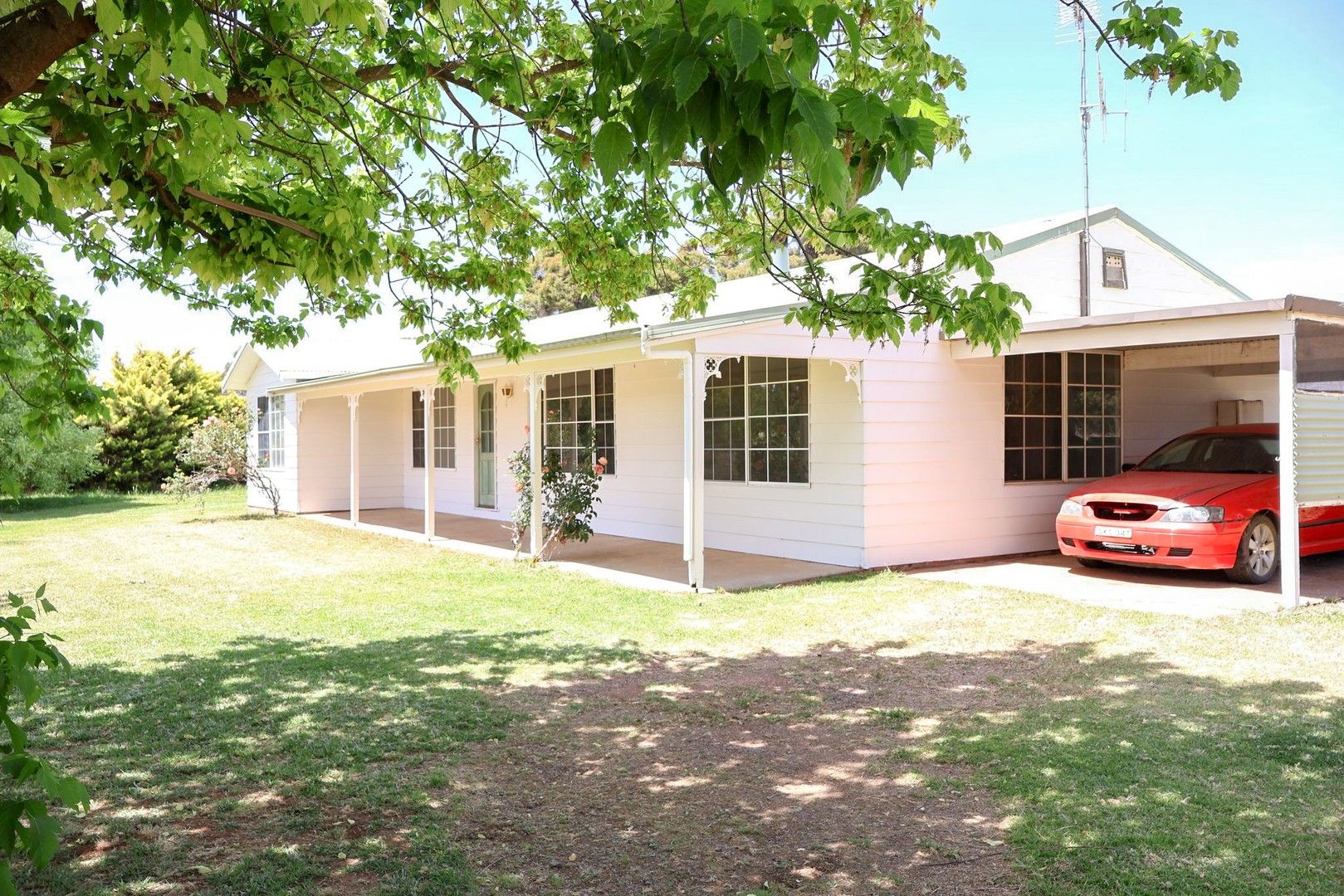 Slaughter Yards Road, Gulgong NSW 2852, Image 0