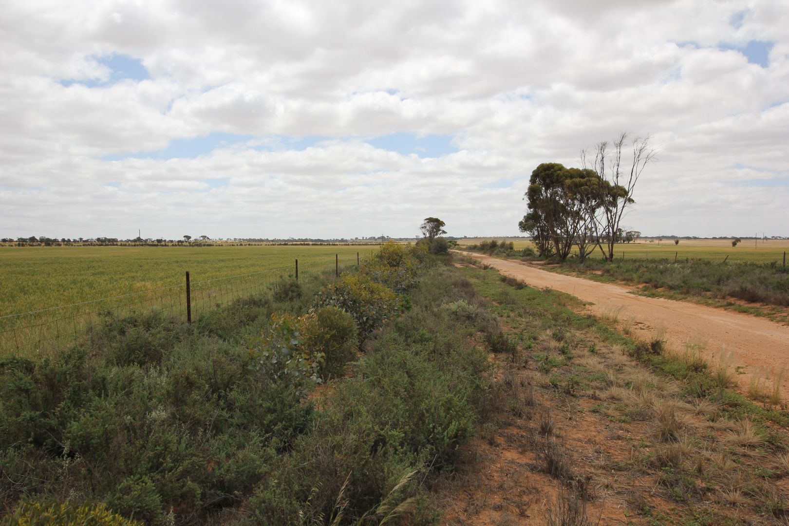 19657 Great Eastern Highway, Kellerberrin WA 6410, Image 2