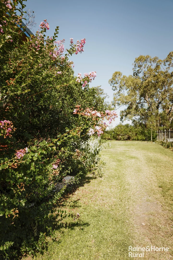 Image 18