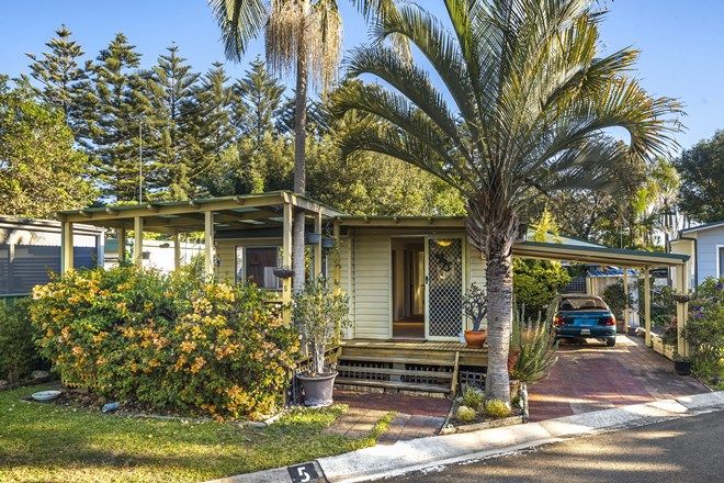 Picture of 5 Palm Parade, NORTH NARRABEEN NSW 2101