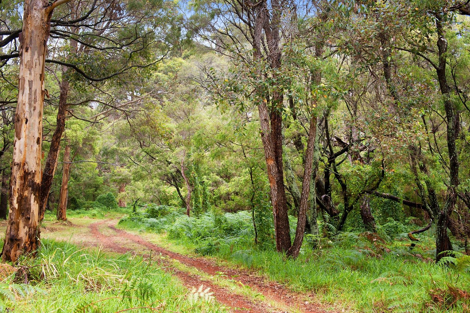 Lot 167 Wagininup Lane, Hamelin Bay WA 6288, Image 1