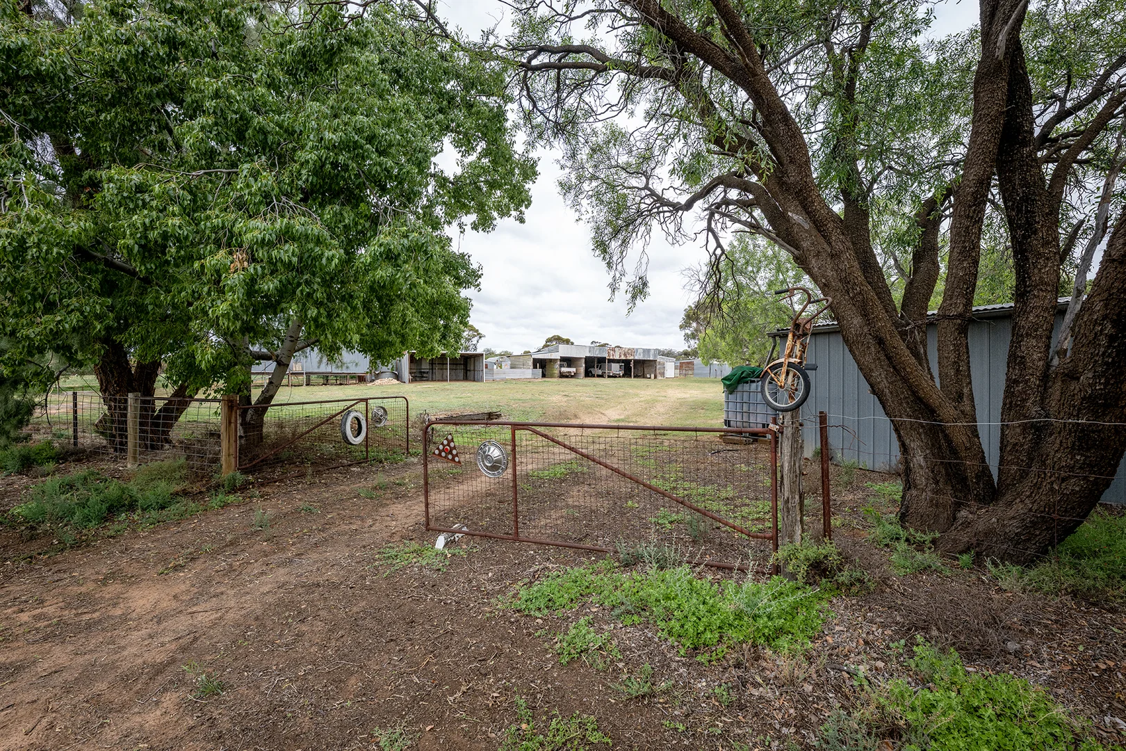 Image 27