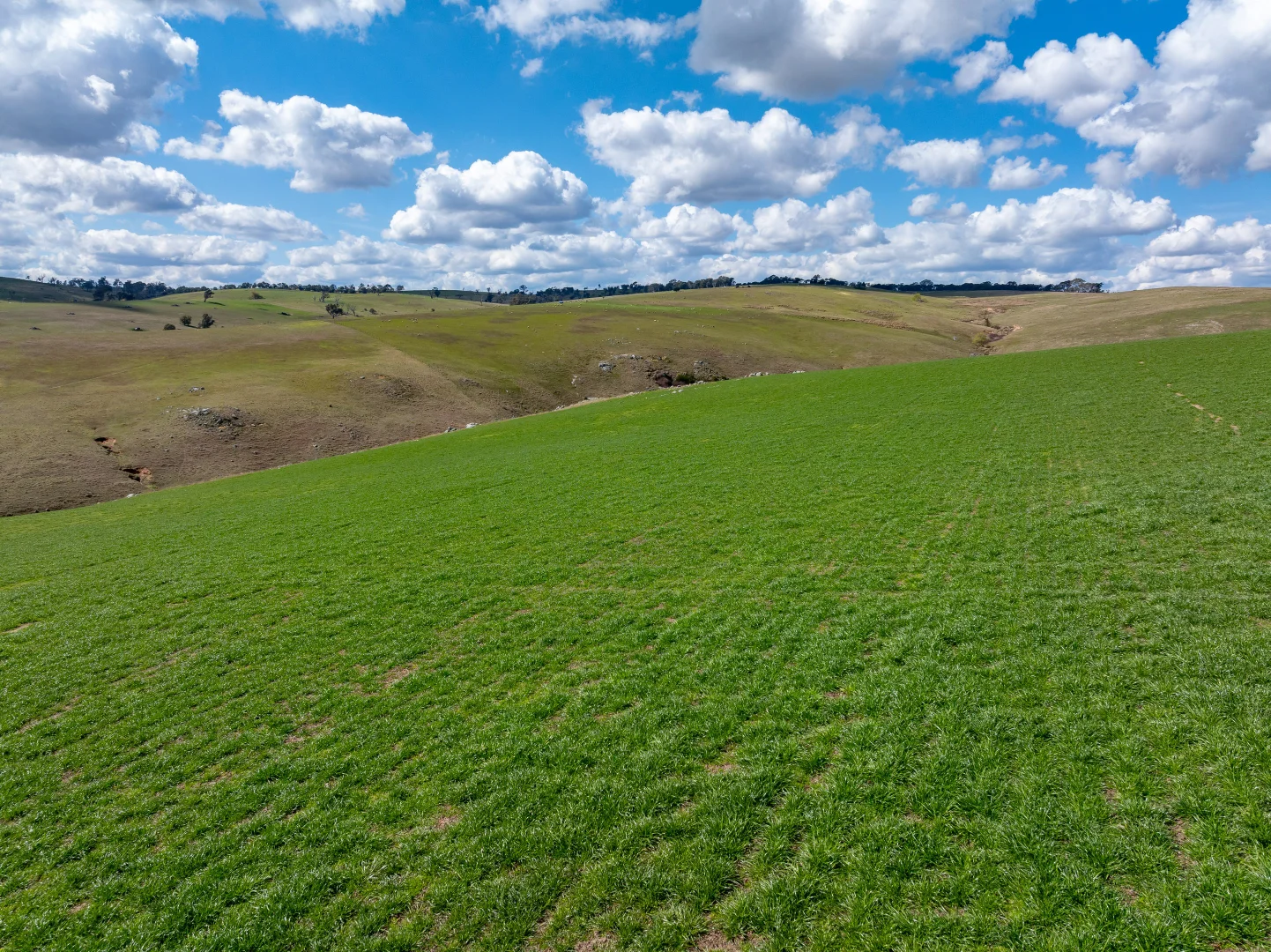 Additional image 6 of 271/1185 Golspie Road, Laggan NSW 2583