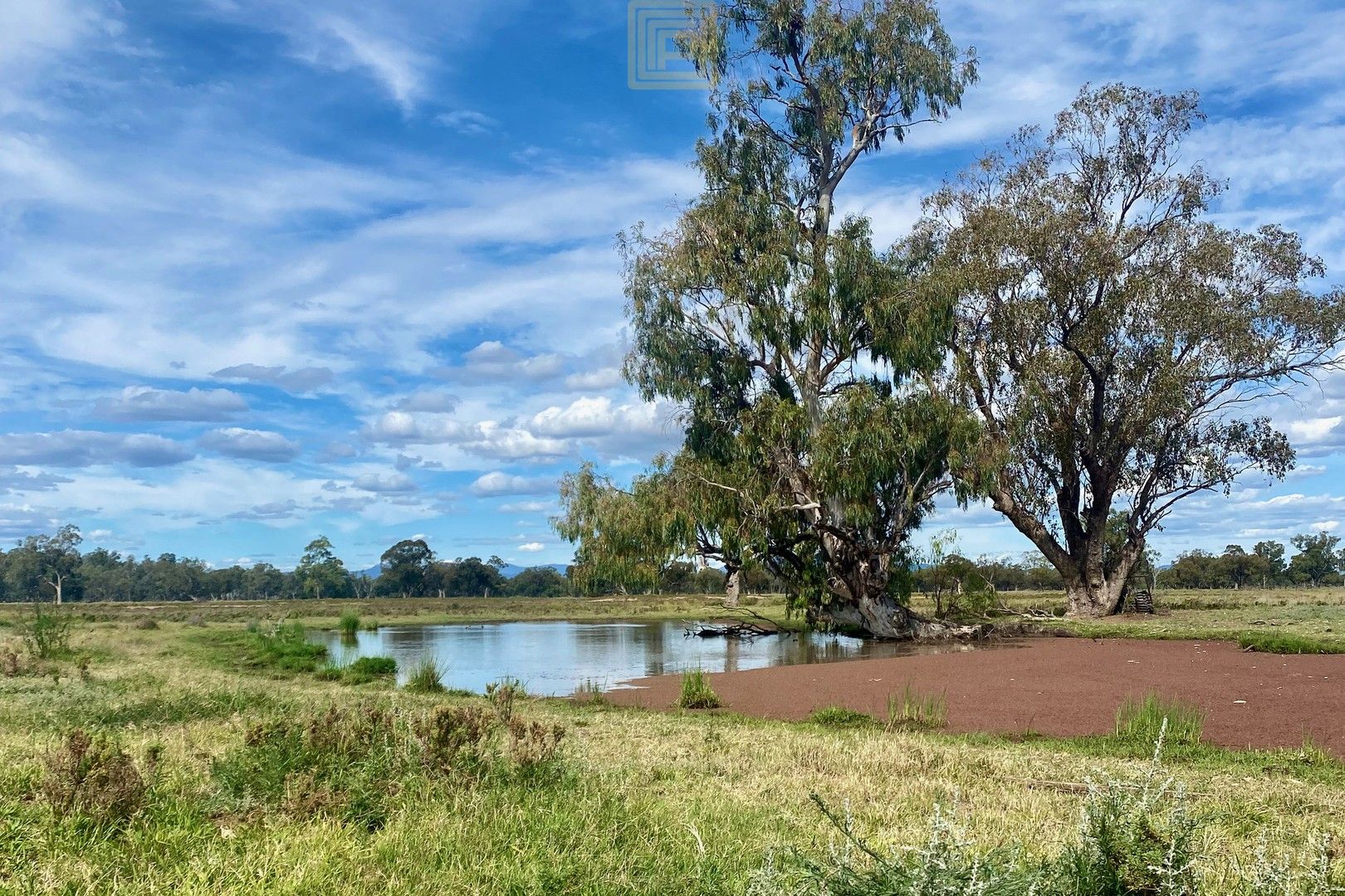 295 The Island Road, Narrabri NSW 2390, Image 0