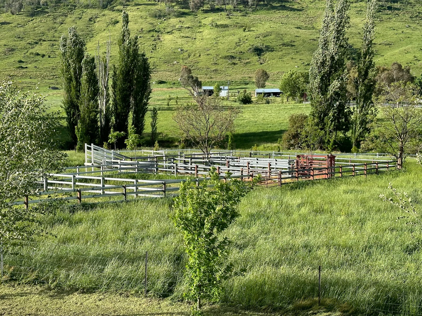 Image 10