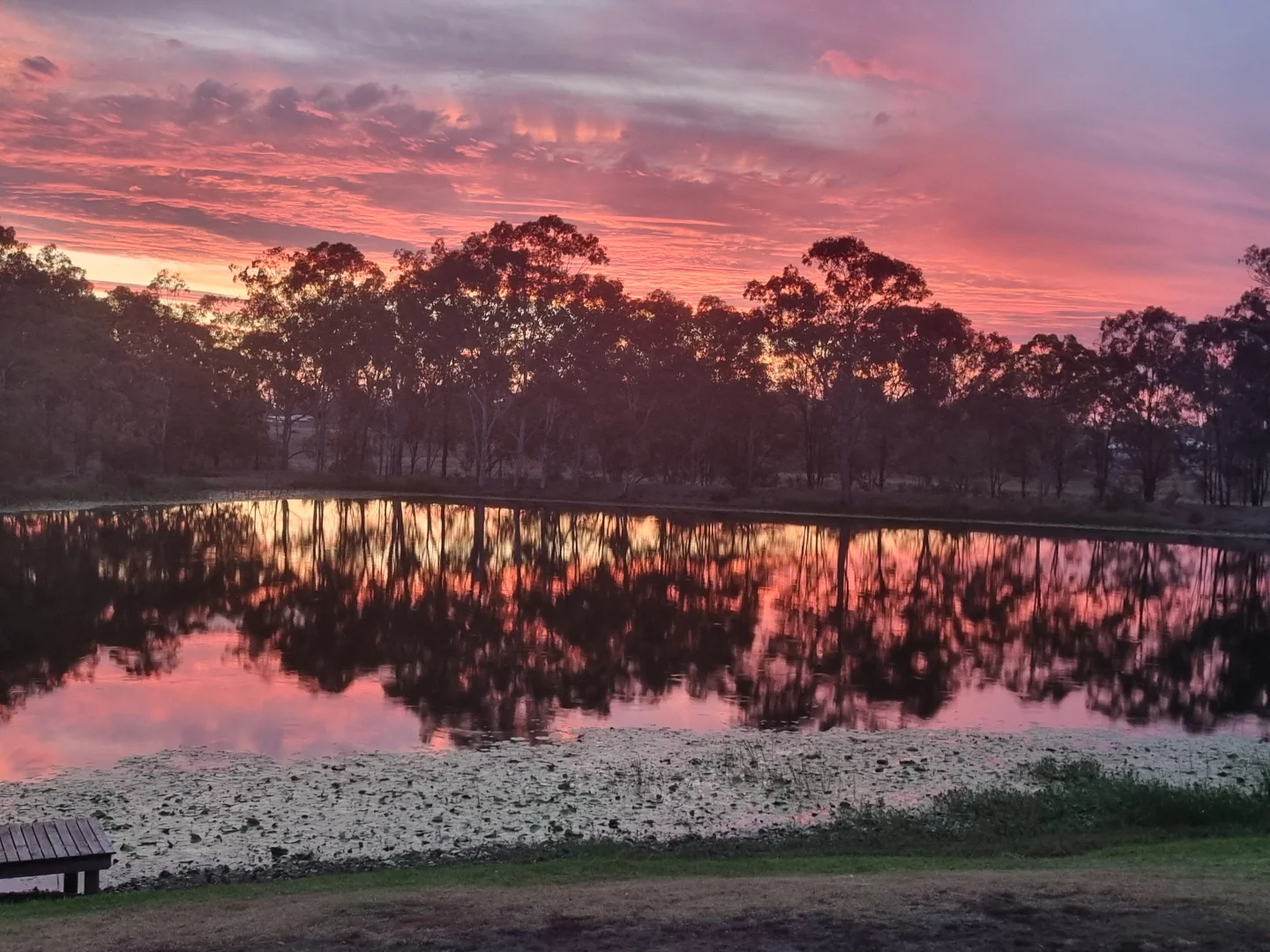 Additional image 30 of 64 Ghost Gum Road, Sharon QLD 4670