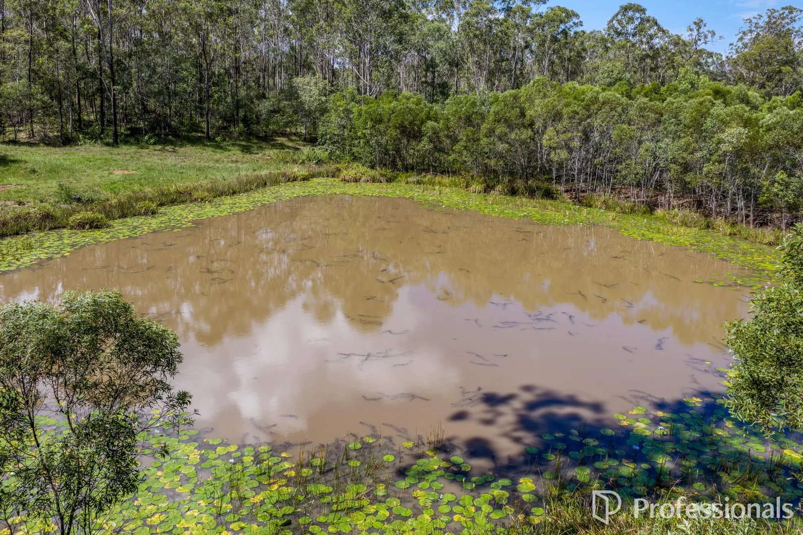 Additional image 24 of 1712 Harvey Siding Road, Curra QLD 4570