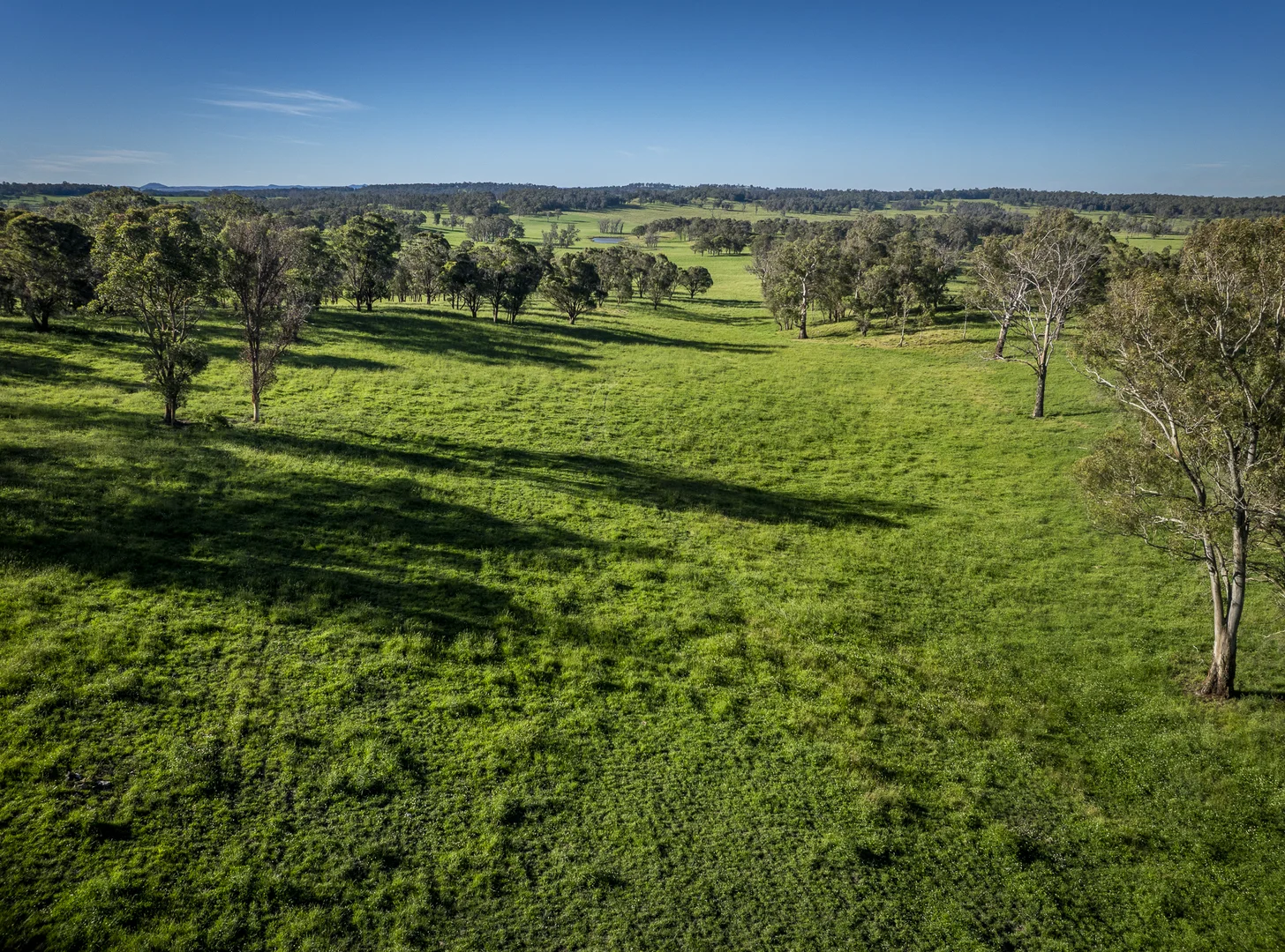 Additional image 9 of 161 Hickeys Road, Wongwibinda NSW 2350