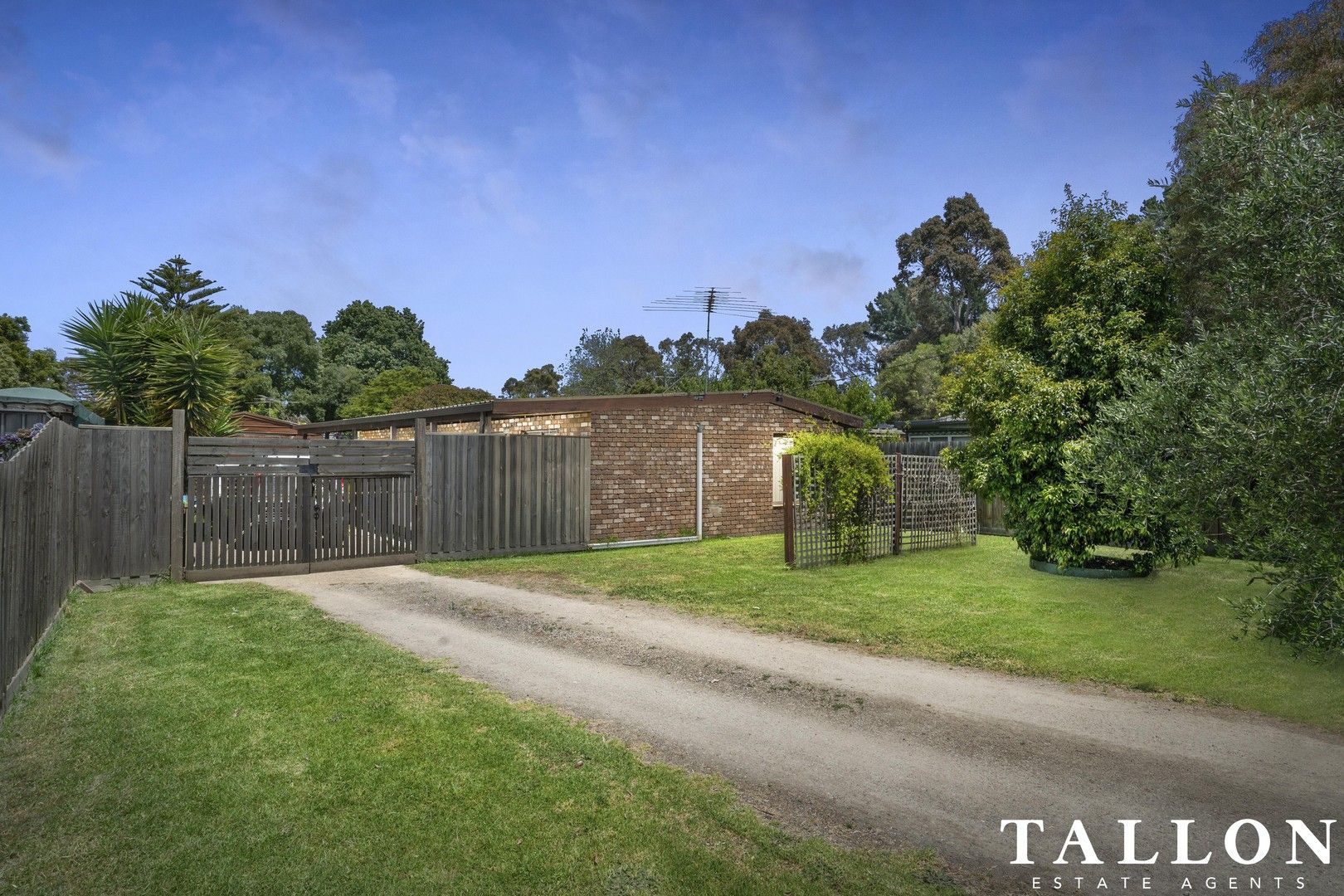 11 Wills Street, Hastings VIC 3915, Image 0