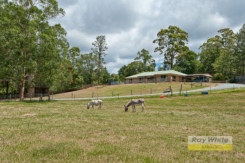 34 Dales Road, KOBBLE CREEK QLD 4520, Image 0