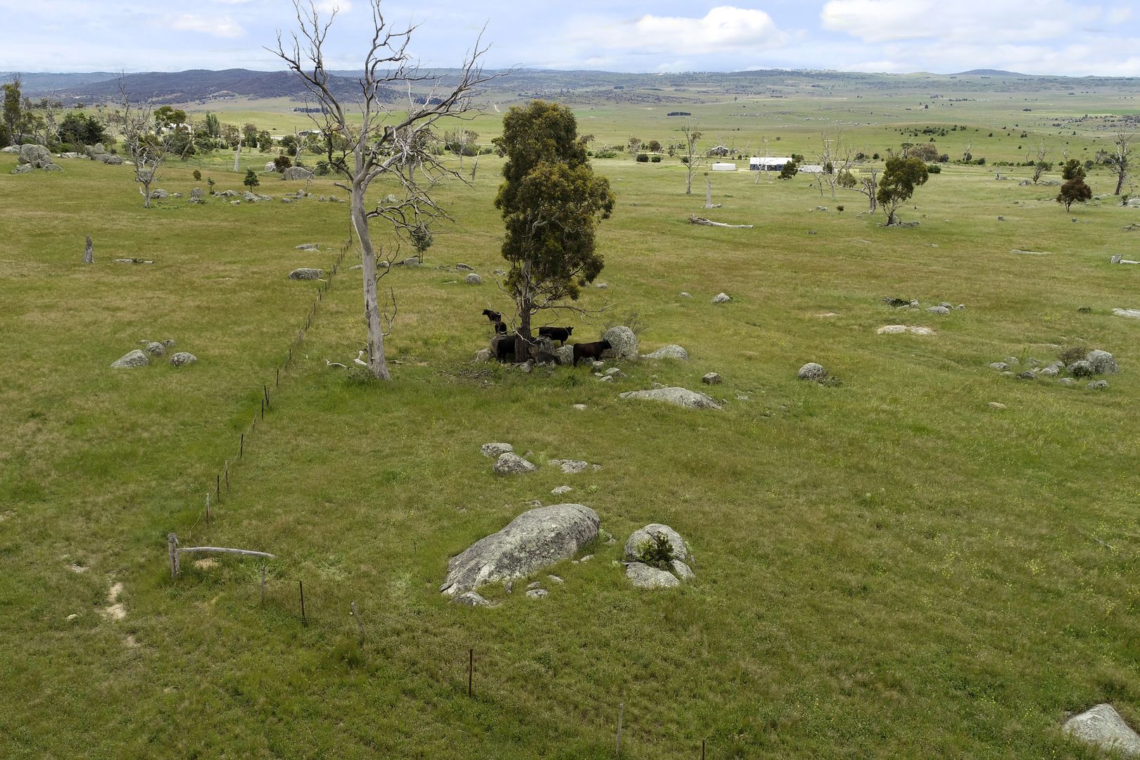 Lot 3 Hickory Dale Road, Berridale NSW 2628, Image 2