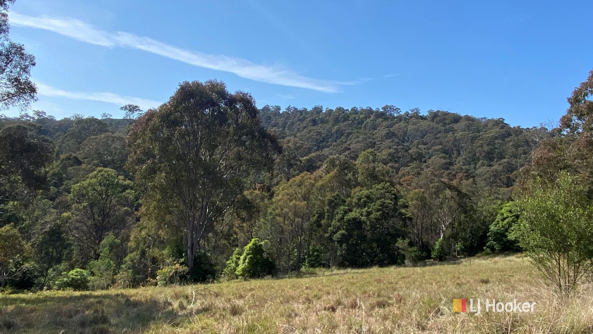 193 Black Range Road, Bega NSW 2550 Domain