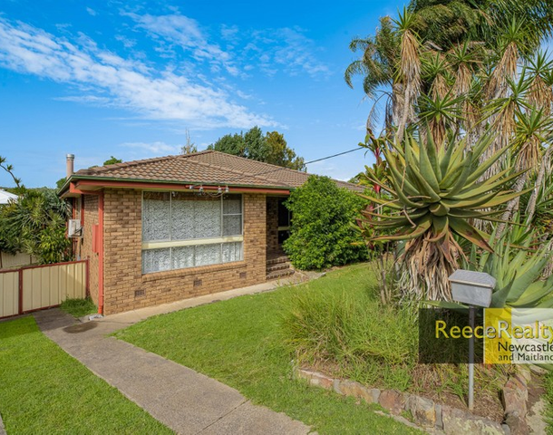 14 Shereline Avenue, Jesmond NSW 2299